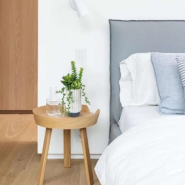 Stylish Hollyone Faux Succulent Plants Set for Home Decor