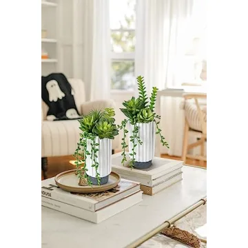 Stylish Hollyone Faux Succulent Plants Set for Home Decor