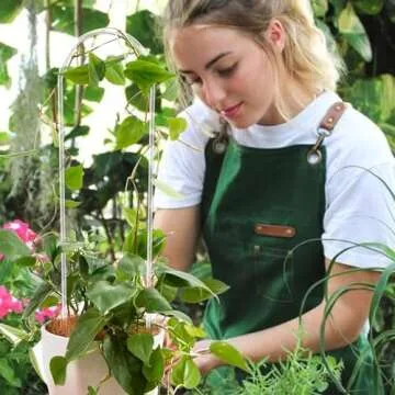 JETTIFY Clear Acrylic Trellis for Indoor Climbing Plants