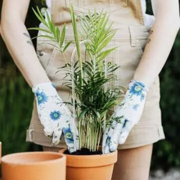 JETTIFY Clear Acrylic Trellis for Indoor Climbing Plants