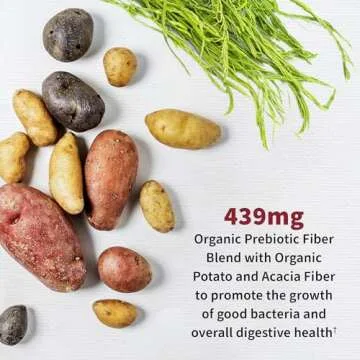 Garden of Life Dr. Formulated - Acidophilus Probiotic Supports Urinary Tract Health Digestive Balance - Gluten Dairy and Soy-Free, 60 Count