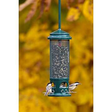 Squirrel Buster Legacy Squirrel-proof Bird Feeder w/4 Metal Perches, 2.6-pound Seed Capacity