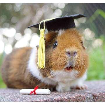 Small Animal Graduation Caps Mini Bachelor Hats With Bright Tassel Costume for Guinea Pigs,Hedgehog,Bird,Turtles,Hamster,Bearded Dragon,Rabbit,Ferret Photo Props Hat Holiday Costume Accessory (Yellow)