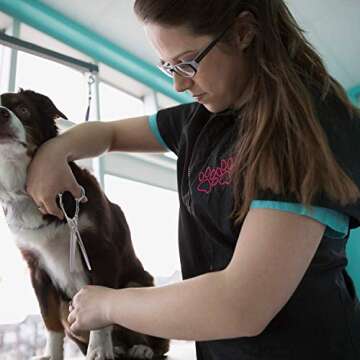 Dream Reach Professional Dog Grooming Straight, Curved, Thinning/Blending/Chunking Scissors Kit, JP-440C Stainless Steel Pet Cat Hair Cutting/Trimming Shears (7 inch-Thinning Scissors)