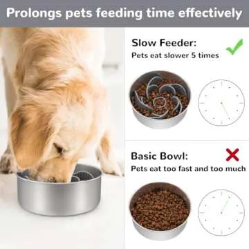 MateeyLife Slow Feeder Dog Bowls Insert with Suction Cups for Healthy Eating
