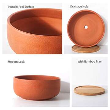 SQOWL Terracotta Planter Pot for Succulent 8 Inch Pottery Pot Round Planter Cactus Clay Flower Pot with Drain Hole and Bamboo Tray Indoor Outdoor