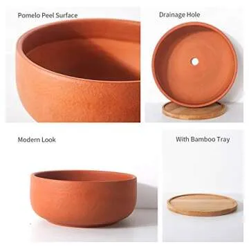 SQOWL Terracotta Planter Pot for Succulent 8 Inch Pottery Pot Round Planter Cactus Clay Flower Pot with Drain Hole and Bamboo Tray Indoor Outdoor