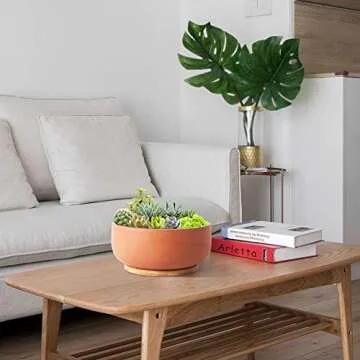 SQOWL Terracotta Planter Pot for Succulent 8 Inch Pottery Pot Round Planter Cactus Clay Flower Pot with Drain Hole and Bamboo Tray Indoor Outdoor