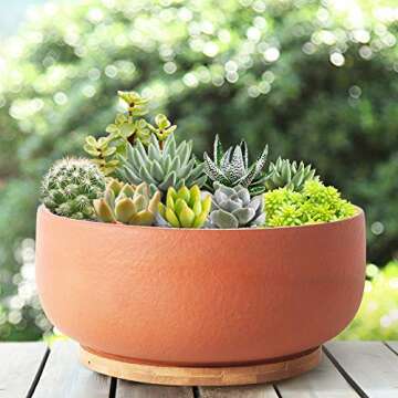 SQOWL Terracotta Planter Pot for Succulent 8 Inch Pottery Pot Round Planter Cactus Clay Flower Pot with Drain Hole and Bamboo Tray Indoor Outdoor
