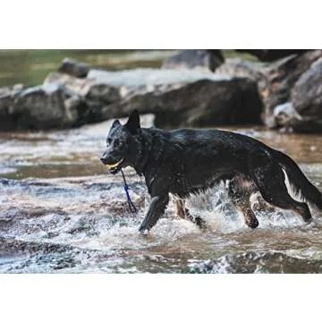 Nero Ball Splash! Floating Dog Ball for Pool & Beach Fun