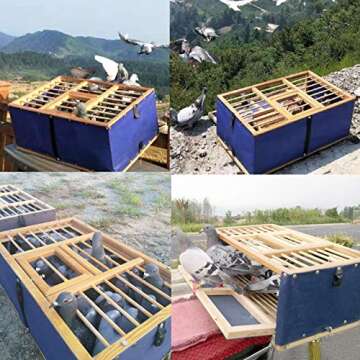 Foldable Wooden Pigeon Transport Cage for Racing