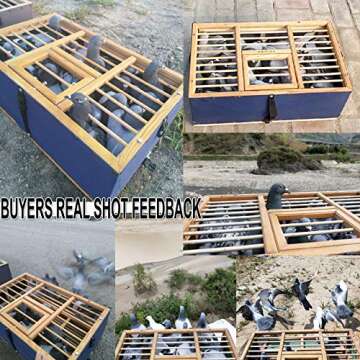 Foldable Wooden Pigeon Transport Cage for Racing