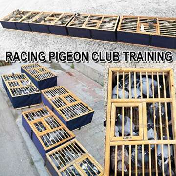 Foldable Wooden Pigeon Transport Cage for Racing