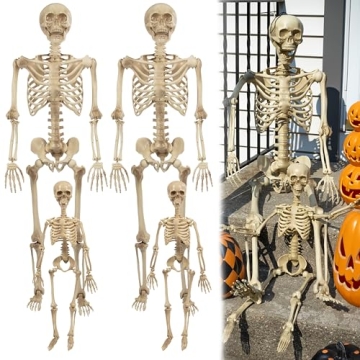 Posable Life Size Human Skeleton Family 4pk- 2 Adult (5'4") & 2 Children (2')- Halloween Prop Indoor...