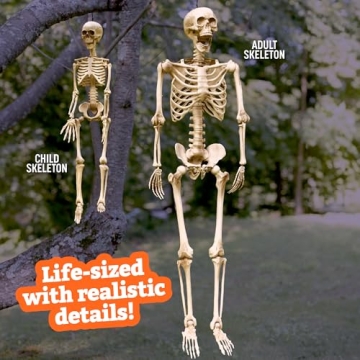 Posable Life Size Skeleton Family 4pk Halloween Decor