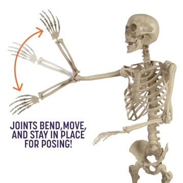 Posable Life Size Skeleton Family 4pk Halloween Decor