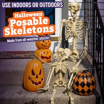 Posable Life Size Skeleton Family 4pk Halloween Decor