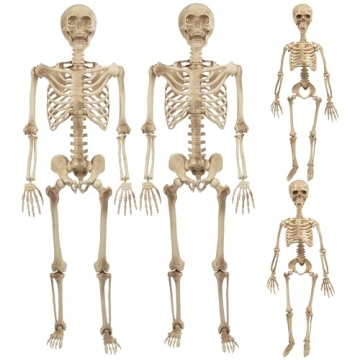 Posable Life Size Skeleton Family 4pk Halloween Decor