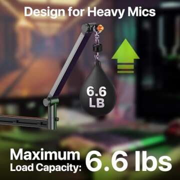 AA AUDIO ACCESSORY Low Profile Boom Arm - Stable Design for Heavy Mics, Max Load of 6.6lbs