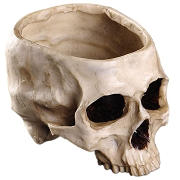 IBWell Unique Skull Shaped Planter for Fun Decor and Gifting
