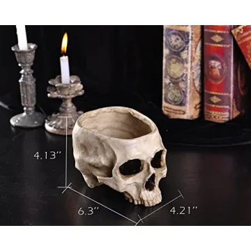 IBWell Unique Skull Shaped Planter for Fun Decor and Gifting