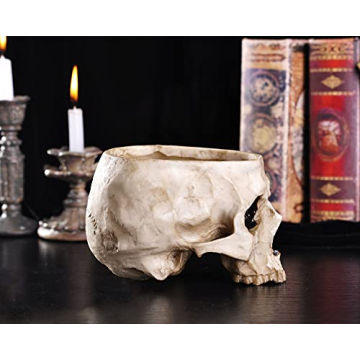 IBWell Unique Skull Shaped Planter for Fun Decor and Gifting