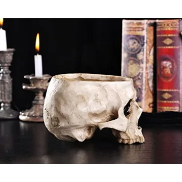 IBWell Unique Skull Shaped Planter for Fun Decor and Gifting