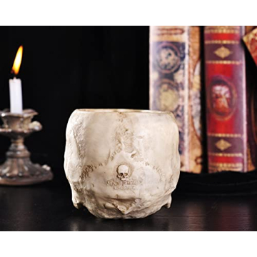 IBWell Unique Skull Shaped Planter for Fun Decor and Gifting