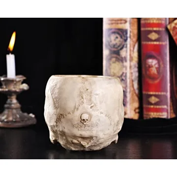 IBWell Unique Skull Shaped Planter for Fun Decor and Gifting