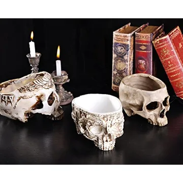 IBWell Unique Skull Shaped Planter for Fun Decor and Gifting