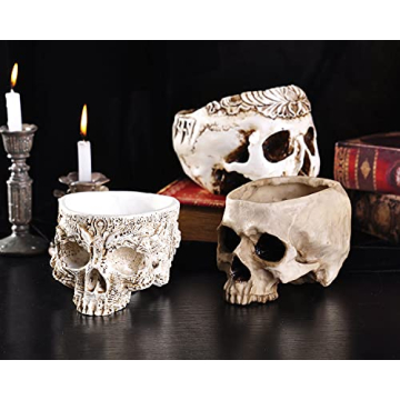 IBWell Unique Skull Shaped Planter for Fun Decor and Gifting