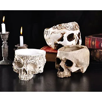 IBWell Unique Skull Shaped Planter for Fun Decor and Gifting