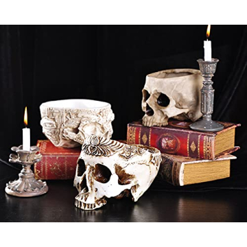 IBWell Unique Skull Shaped Planter for Fun Decor and Gifting