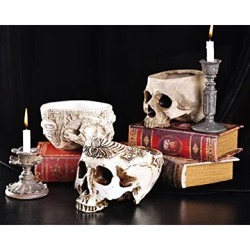 IBWell Unique Skull Shaped Planter for Fun Decor and Gifting
