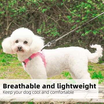 PINA Dog Harness for Small Dogs No Pull, Small Dog Harness and Leash Set, No Choke Breathable Mesh Dog Vest Harness, Lightweight Adjustable Small Medium Dog Harness - Easy to Put On and Take Off