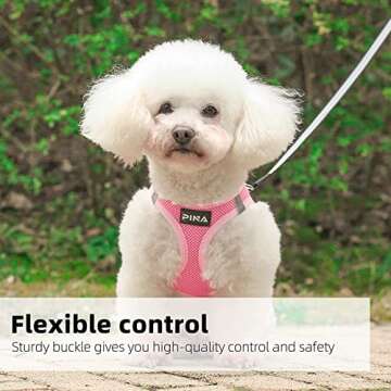 PINA Dog Harness for Small Dogs No Pull, Small Dog Harness and Leash Set, No Choke Breathable Mesh Dog Vest Harness, Lightweight Adjustable Small Medium Dog Harness - Easy to Put On and Take Off