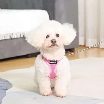 PINA Dog Harness for Small Dogs No Pull, Small Dog Harness and Leash Set, No Choke Breathable Mesh Dog Vest Harness, Lightweight Adjustable Small Medium Dog Harness - Easy to Put On and Take Off