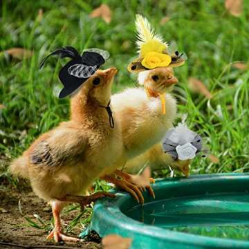 Vehomy 8Pcs Chicken Hats for Hens Chicken Bowler Hat with Elastic Chin Strap Chicken Feather Top Hat with Lace Bow Décor Small Pet Hat Acessories for Parrot Rabbit Hamster Bearded Dragon Lizard S
