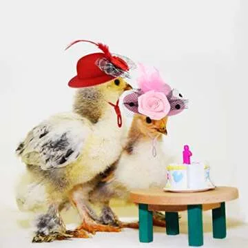 Vehomy 8Pcs Chicken Hats for Hens Chicken Bowler Hat with Elastic Chin Strap Chicken Feather Top Hat with Lace Bow Décor Small Pet Hat Acessories for Parrot Rabbit Hamster Bearded Dragon Lizard S