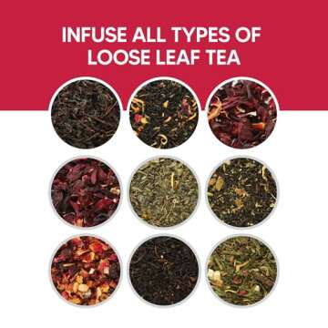 HIC Premium Tea Strainer - 18/8 Stainless Steel Double-Ear Conical Mesh Filter for Loose Tea Infusio...