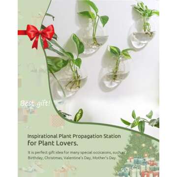 Ivolador 4PCS Wall Mounted Plant Terrariums Oblate Hanging Glass Propagation Station Container for P...