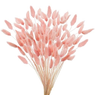 Uieke 17’’ Natural Bunny Tails Dried Flowers, 50 Pcs Dried Lagurus Ovatus, Dried Pink Pampas Gra...