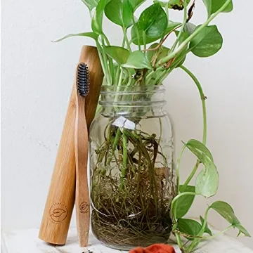 Eco-Friendly LEAFICO Bamboo Toothbrush Set - Natural Whitening Gift