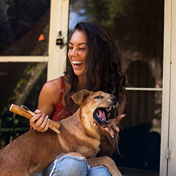 Eco-Friendly LEAFICO Bamboo Toothbrush Set - Natural Whitening Gift