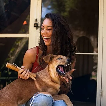 Eco-Friendly LEAFICO Bamboo Toothbrush Set - Natural Whitening Gift