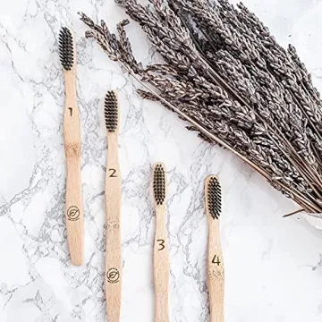 Eco-Friendly LEAFICO Bamboo Toothbrush Set - Natural Whitening Gift