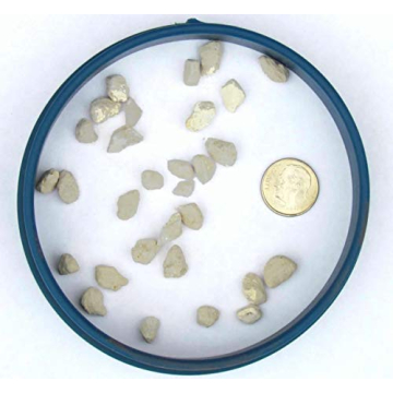 Bonsai Jack 1/4 inch Horticultural Pumice for Plants