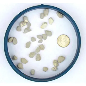 Bonsai Jack 1/4 inch Horticultural Pumice for Plants