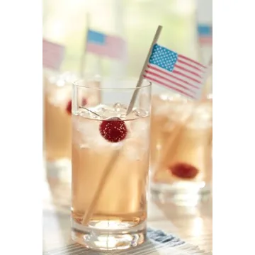 Elegant Lenox Lead-Free Highball Glass Set - 4 Count