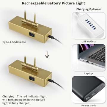 JUSHENG Battery Operated Picture Light with Remote and Timer, Wireless Art Light with Swing Arm, Rechargeable Gallery Lighting Display Light for Frame Artwork Canvas Portrait Brass 12.6'' Inch 2W